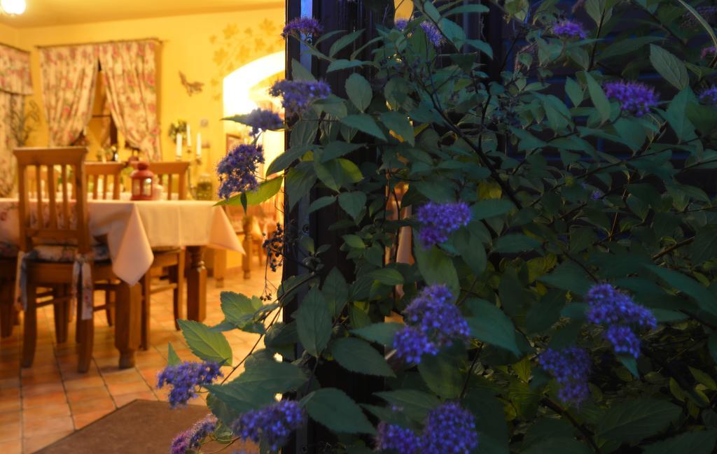 Hotel Magnes Szklarska Poreba Luaran gambar